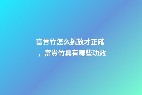 富貴竹怎么擺放才正確，富貴竹具有哪些功效